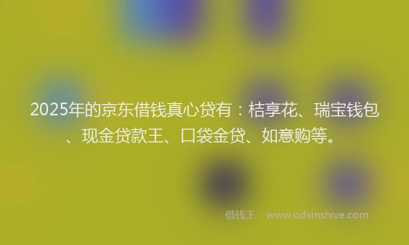 2025年的京东借钱真心贷有：桔享花、瑞宝钱包、现金贷款王、口袋金贷、如意购等。