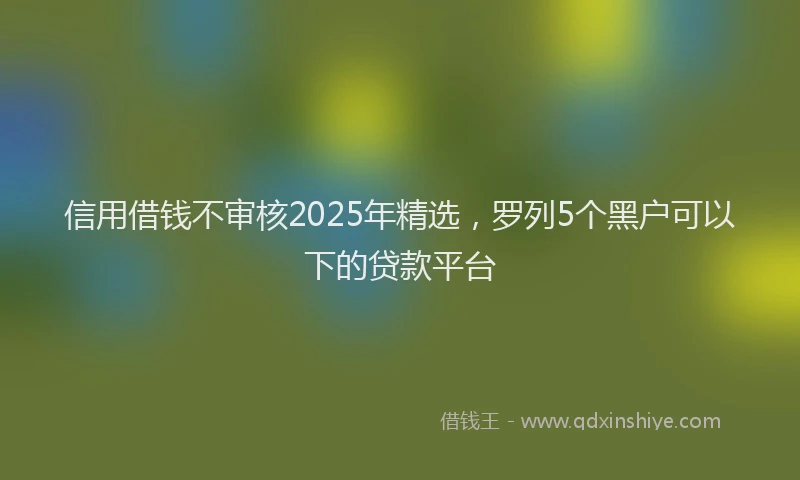 信用借钱不审核2025年精选，罗列5个黑户可以下的贷款平台