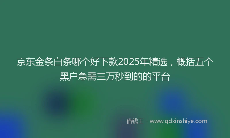 京东金条白条哪个好下款2025年精选，概括五个黑户急需三万秒到的的平台