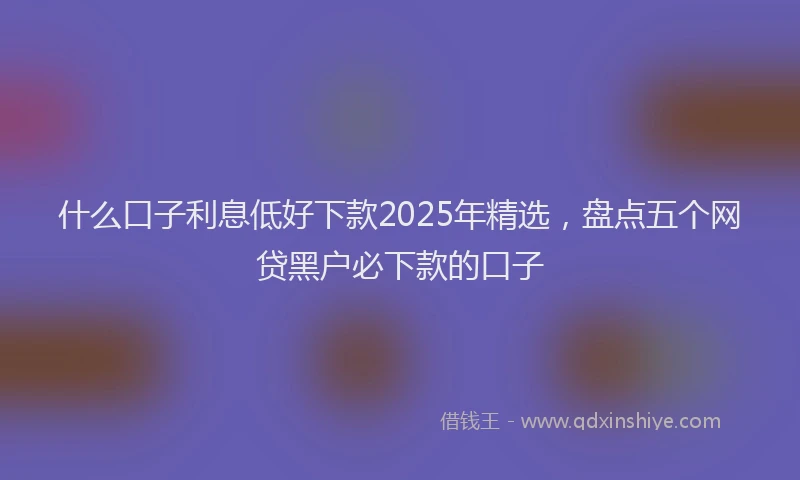什么口子利息低好下款2025年精选，盘点五个网贷黑户必下款的口子