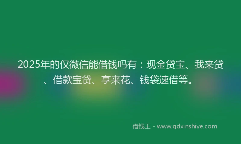 2025年的仅微信能借钱吗有:现金贷宝、我来贷、借款宝贷、享来花、钱袋速借等。