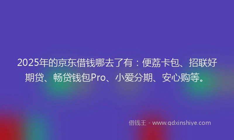 2025年的京东借钱哪去了有：便荔卡包、招联好期贷、畅贷钱包Pro、小爱分期、安心购等。