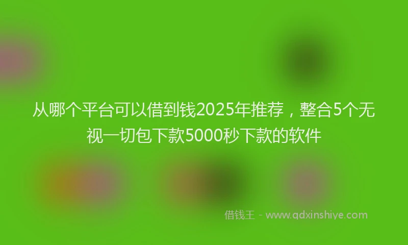 从哪个平台可以借到钱2025年推荐,整合5个无视一切包下款5000秒下款的软件