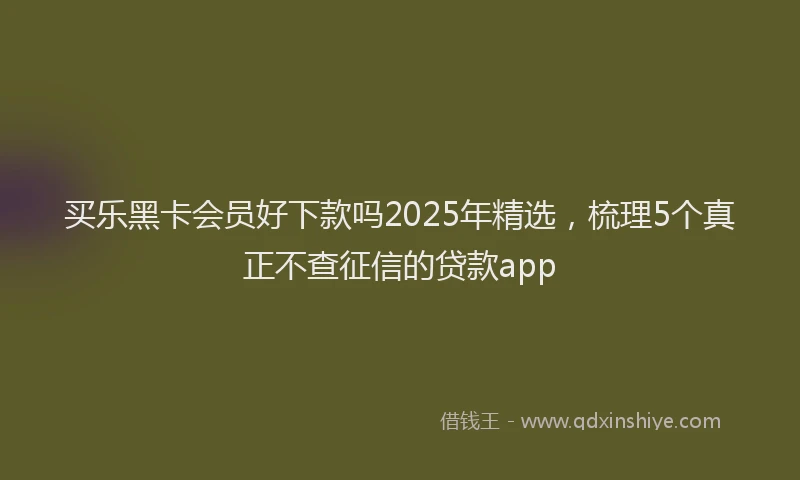 买乐黑卡会员好下款吗2025年精选，梳理5个真正不查征信的贷款app