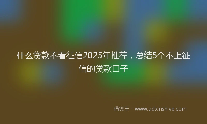 什么贷款不看征信2025年推荐，总结5个不上征信的贷款口子