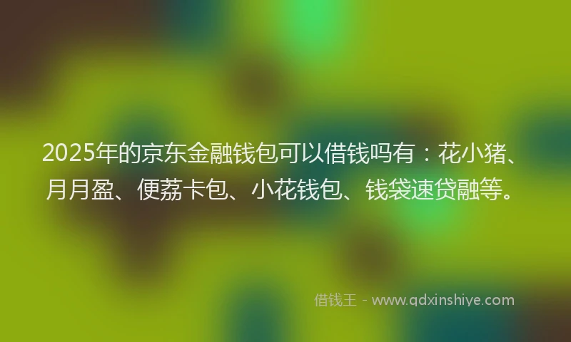2025年的京东金融钱包可以借钱吗有：花小猪、月月盈、便荔卡包、小花钱包、钱袋速贷融等。