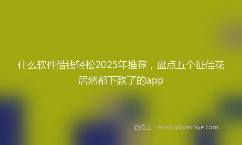 什么软件借钱轻松2025年推荐,盘点五个征信花居然都下款了的app