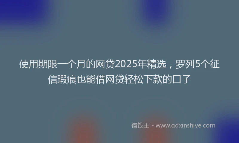 使用期限一个月的网贷2025年精选，罗列5个征信瑕疵也能借网贷轻松下款的口子