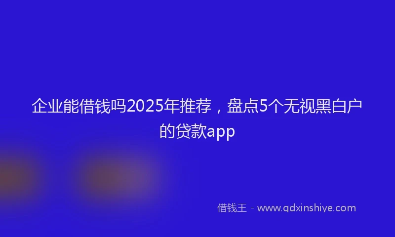 企业能借钱吗2025年推荐，盘点5个无视黑白户的贷款app