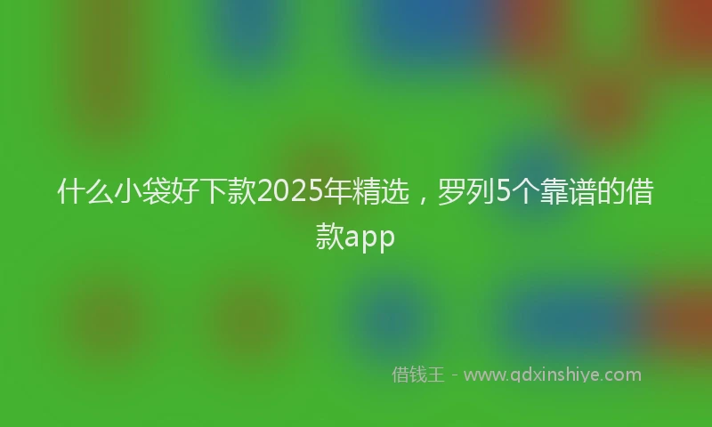 什么小袋好下款2025年精选，罗列5个靠谱的借款app
