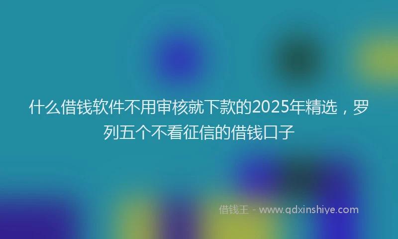 什么借钱软件不用审核就下款的2025年精选，罗列五个不看征信的借钱口子