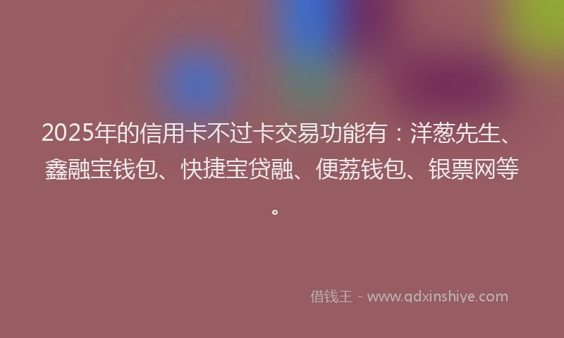 2025年的信用卡不过卡交易功能有：洋葱先生、鑫融宝钱包、快捷宝贷融、便荔钱包、银票网等。