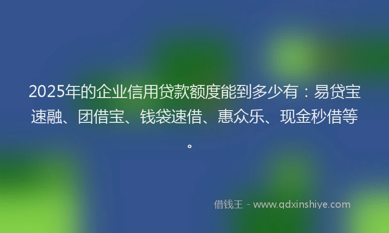 2025年的企业信用贷款额度能到多少有：易贷宝速融、团借宝、钱袋速借、惠众乐、现金秒借等。