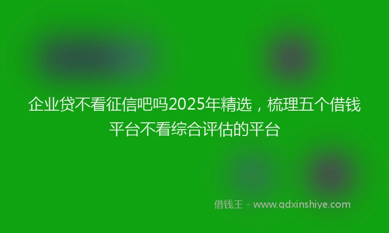 企业贷不看征信吧吗2025年精选，梳理五个借钱平台不看综合评估的平台