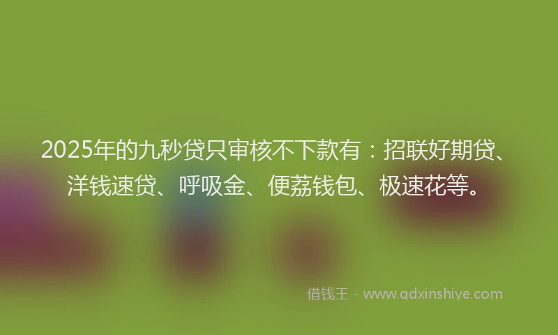 2025年的九秒贷只审核不下款有：招联好期贷、洋钱速贷、呼吸金、便荔钱包、极速花等。