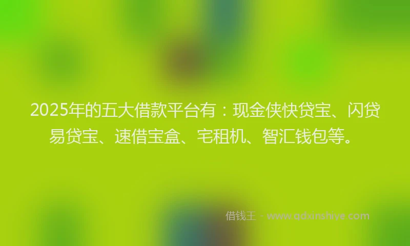 2025年的五大借款平台有：现金侠快贷宝、闪贷易贷宝、速借宝盒、宅租机、智汇钱包等。