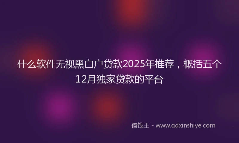 什么软件无视黑白户贷款2025年推荐，概括五个12月独家贷款的平台