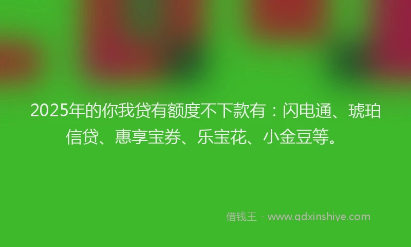 2025年的你我贷有额度不下款有：闪电通、琥珀信贷、惠享宝券、乐宝花、小金豆等。