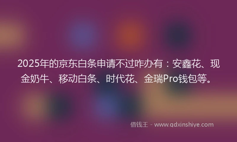 2025年的京东白条申请不过咋办有：安鑫花、现金奶牛、移动白条、时代花、金瑞Pro钱包等。
