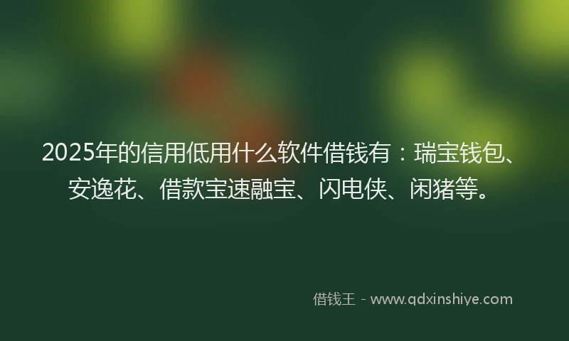 2025年的信用低用什么软件借钱有：瑞宝钱包、安逸花、借款宝速融宝、闪电侠、闲猪等。