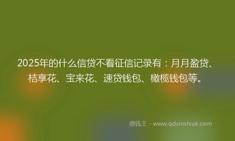 2025年的什么信贷不看征信记录有：月月盈贷、桔享花、宝来花、速贷钱包、橄榄钱包等。