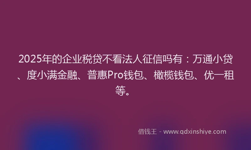 2025年的企业税贷不看法人征信吗有：万通小贷、度小满金融、普惠Pro钱包、橄榄钱包、优一租等。