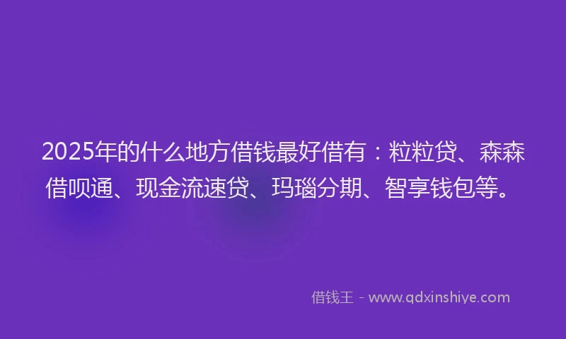 2025年的什么地方借钱最好借有：粒粒贷、森森借呗通、现金流速贷、玛瑙分期、智享钱包等。