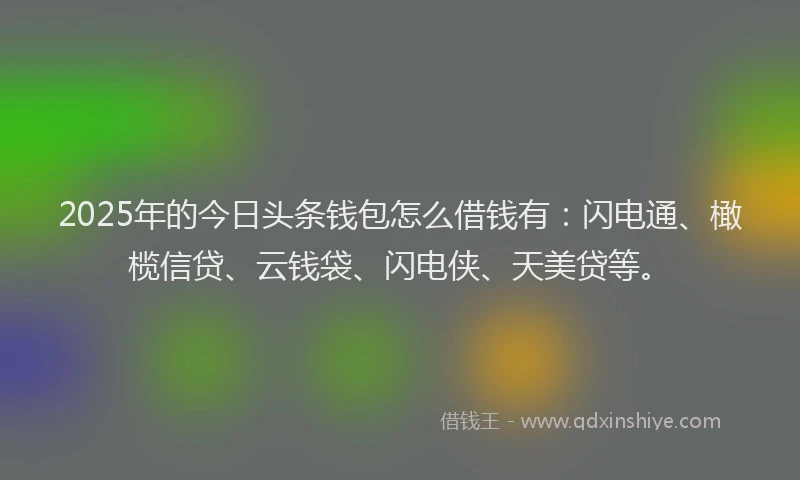 2025年的今日头条钱包怎么借钱有：闪电通、橄榄信贷、云钱袋、闪电侠、天美贷等。