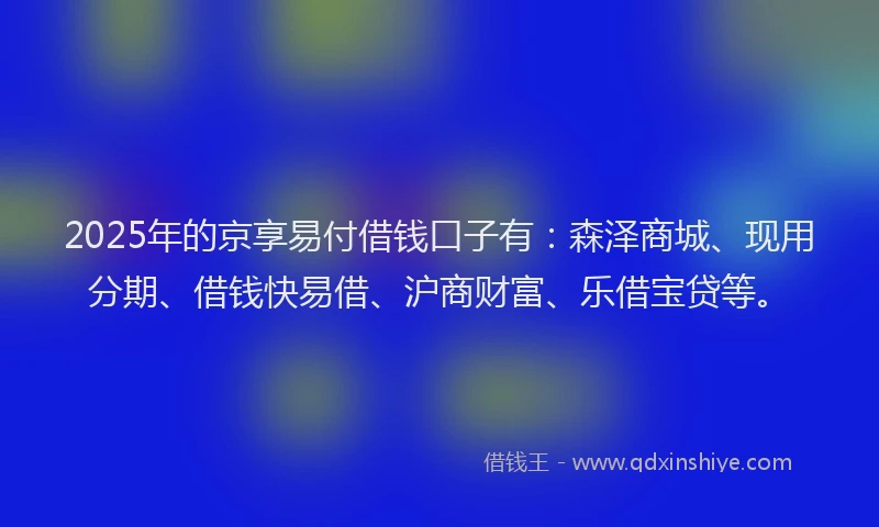 2025年的京享易付借钱口子有：森泽商城、现用分期、借钱快易借、沪商财富、乐借宝贷等。