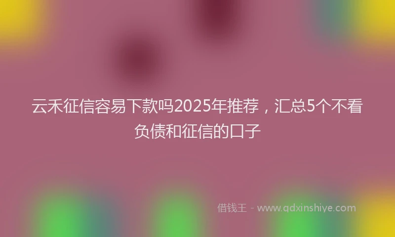 云禾征信容易下款吗2025年推荐，汇总5个不看负债和征信的口子
