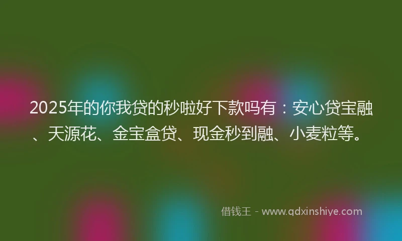2025年的你我贷的秒啦好下款吗有：安心贷宝融、天源花、金宝盒贷、现金秒到融、小麦粒等。