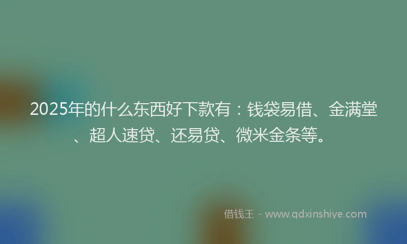 2025年的什么东西好下款有：钱袋易借、金满堂、超人速贷、还易贷、微米金条等。