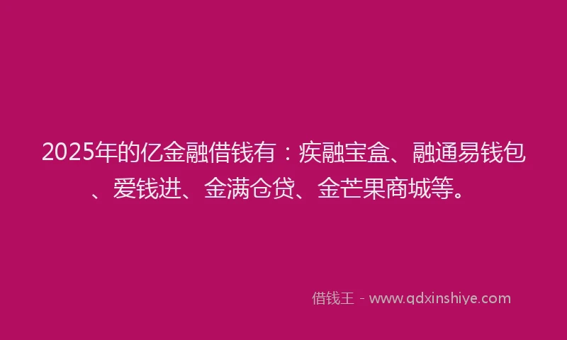 2025年的亿金融借钱有：疾融宝盒、融通易钱包、爱钱进、金满仓贷、金芒果商城等。