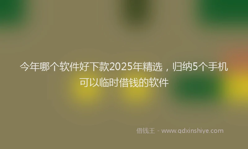 今年哪个软件好下款2025年精选，归纳5个手机可以临时借钱的软件