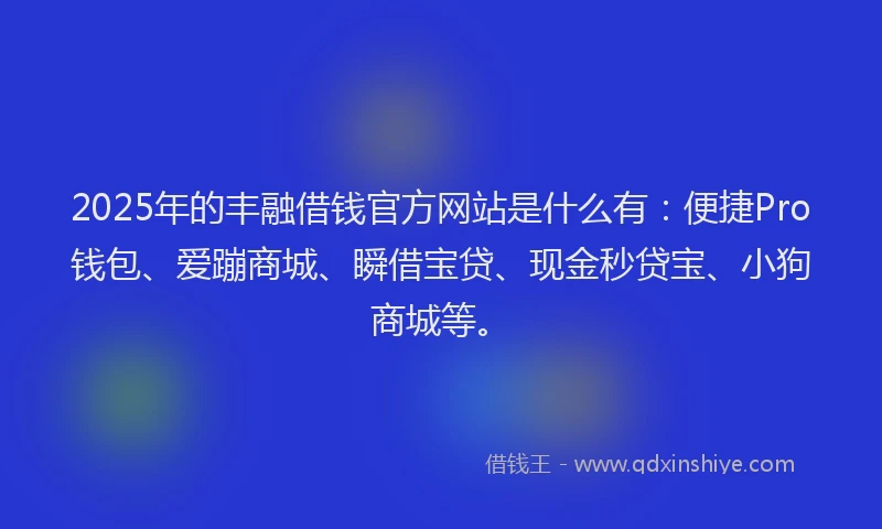 2025年的丰融借钱官方网站是什么有：便捷Pro钱包、爱蹦商城、瞬借宝贷、现金秒贷宝、小狗商城等。