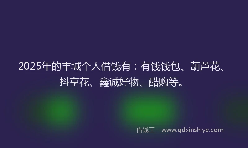 2025年的丰城个人借钱有：有钱钱包、葫芦花、抖享花、鑫诚好物、酷购等。