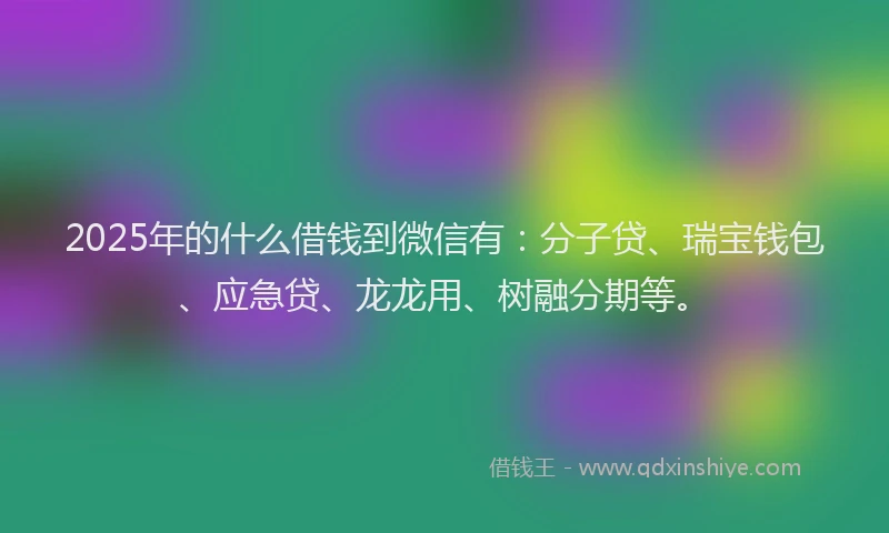 2025年的什么借钱到微信有：分子贷、瑞宝钱包、应急贷、龙龙用、树融分期等。