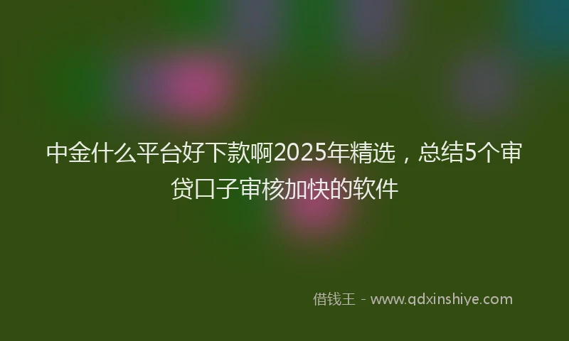 中金什么平台好下款啊2025年精选,总结5个审贷口子审核加快的软件