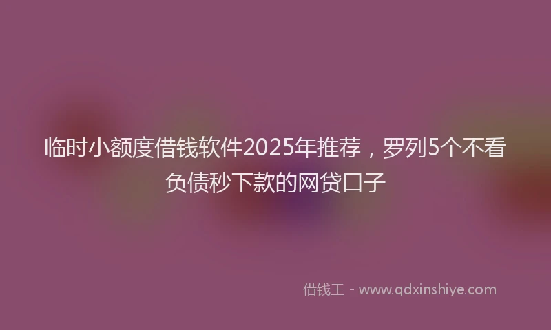 临时小额度借钱软件2025年推荐，罗列5个不看负债秒下款的网贷口子