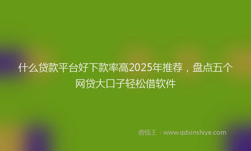 什么贷款平台好下款率高2025年推荐，盘点五个网贷大口子轻松借软件