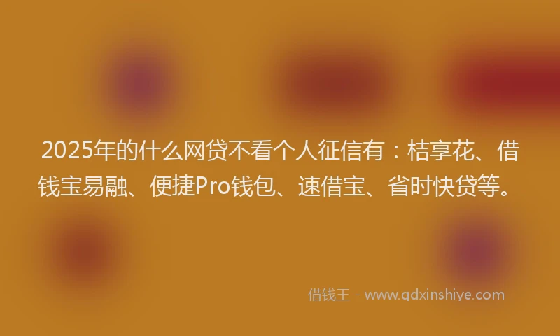 2025年的什么网贷不看个人征信有：桔享花、借钱宝易融、便捷Pro钱包、速借宝、省时快贷等。