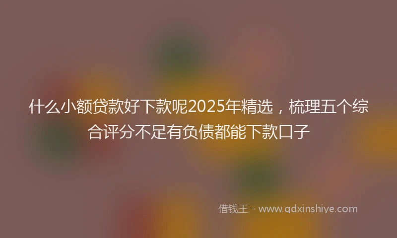 什么小额贷款好下款呢2025年精选，梳理五个综合评分不足有负债都能下款口子
