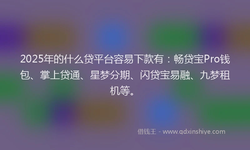 2025年的什么贷平台容易下款有：畅贷宝Pro钱包、掌上贷通、星梦分期、闪贷宝易融、九梦租机等。