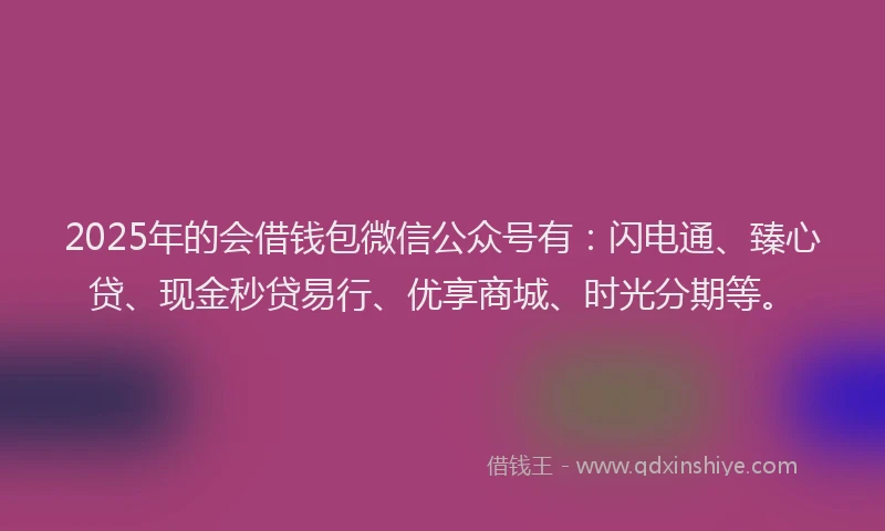 2025年的会借钱包微信公众号有：闪电通、臻心贷、现金秒贷易行、优享商城、时光分期等。