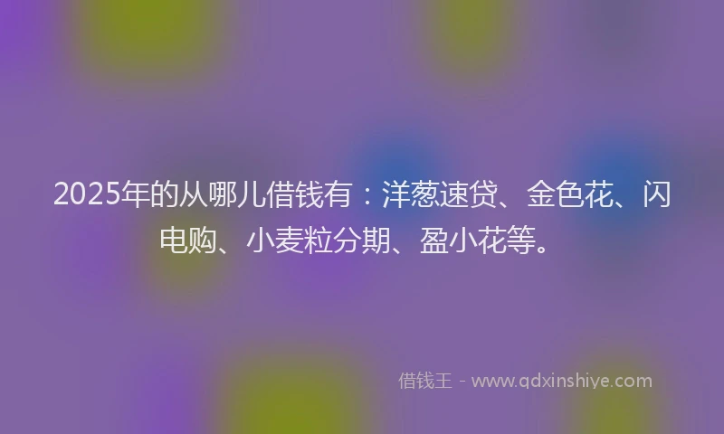 2025年的从哪儿借钱有：洋葱速贷、金色花、闪电购、小麦粒分期、盈小花等。