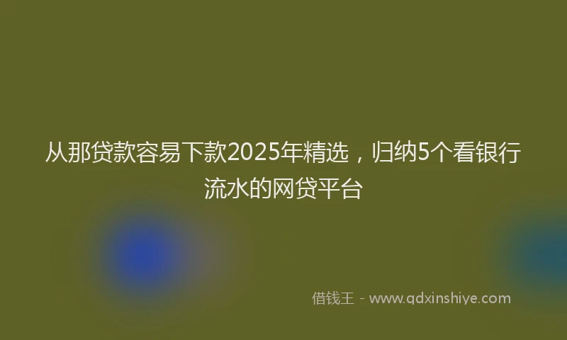 从那贷款容易下款2025年精选，归纳5个看银行流水的网贷平台