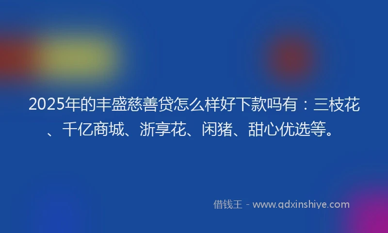 2025年的丰盛慈善贷怎么样好下款吗有：三枝花、千亿商城、浙享花、闲猪、甜心优选等。