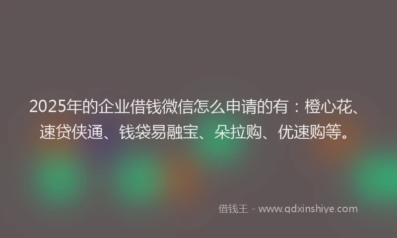 2025年的企业借钱微信怎么申请的有:橙心花、速贷侠通、钱袋易融宝、朵拉购、优速购等。