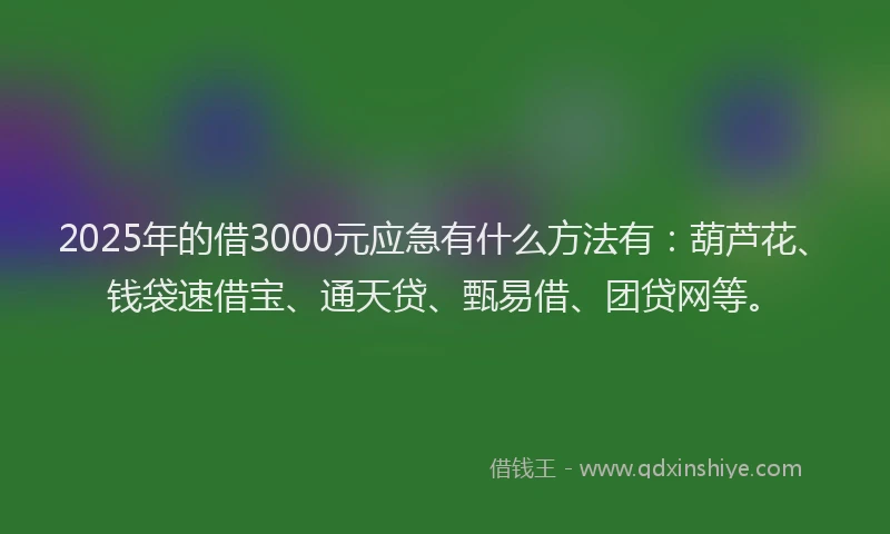 2025年的借3000元应急有什么方法有：葫芦花、钱袋速借宝、通天贷、甄易借、团贷网等。