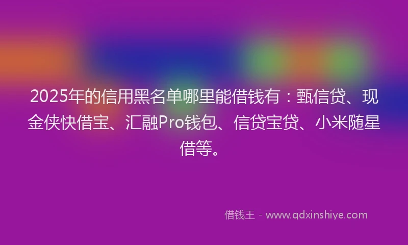 2025年的信用黑名单哪里能借钱有:甄信贷、现金侠快借宝、汇融Pro钱包、信贷宝贷、小米随星借等。